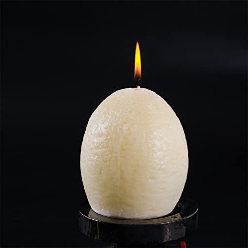 YAZAN-MOLANDI T-Rex Hatching Eggs Candle 1