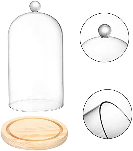 Lyellfe 2 Pack Glass Dome Cloche with Wooden Base 1