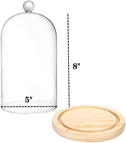 Lyellfe 2 Pack Glass Dome Cloche with Wooden Base 1