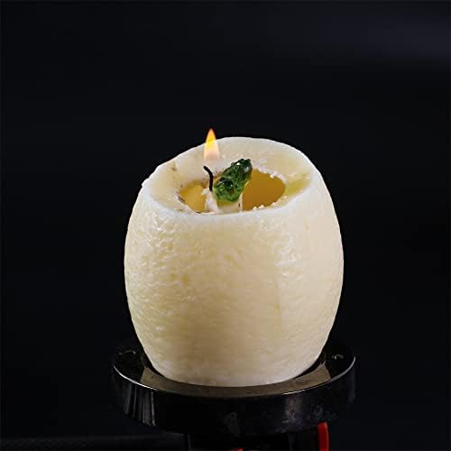 YAZAN-MOLANDI T-Rex Hatching Eggs Candle 1