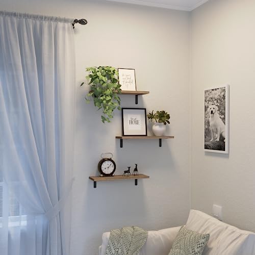 DOLLFIO 3 Set Floating Wall Shelves - Rustic Brown