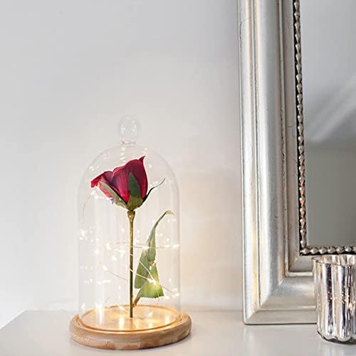 Lyellfe 2 Pack Glass Dome Cloche with Wooden Base 1