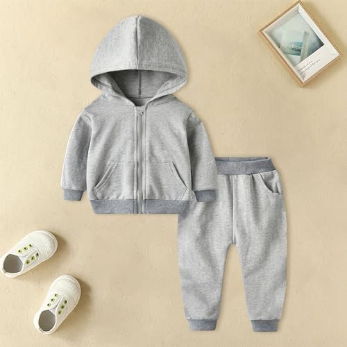 Toddler 2 Piece Outfit Set - Zip Hoodie Sweatpants