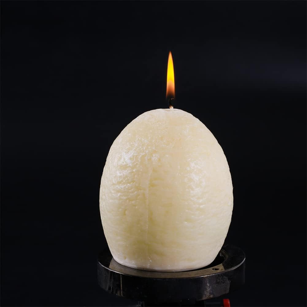 YAZAN-MOLANDI T-Rex Hatching Eggs Candle 1