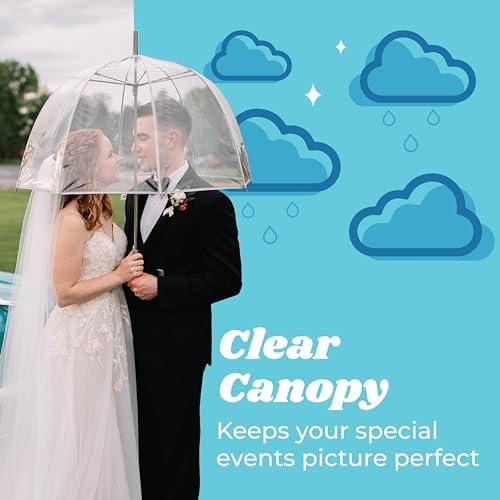 Totes Adult Clear Bubble Umbrella with Dome Canopy