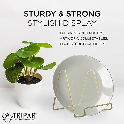 TRIPAR Square Metal Wire Stand - 2 Pack Gold Finish
