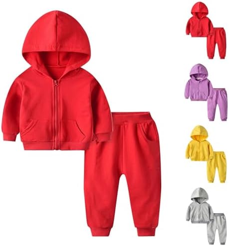 Toddler 2 Piece Outfit Set - Zip Hoodie Sweatpants