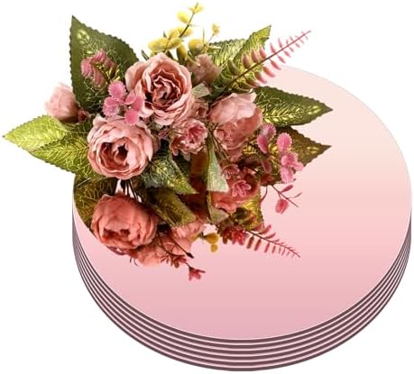 Thyle 10 Inch Rose Gold Acrylic Mirror Set 6 Pcs