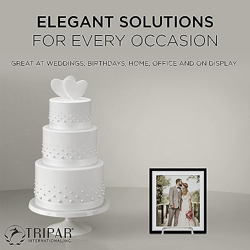 TRIPAR Square Metal Wire Stand Silver 2 Pack 6-Inch Depth