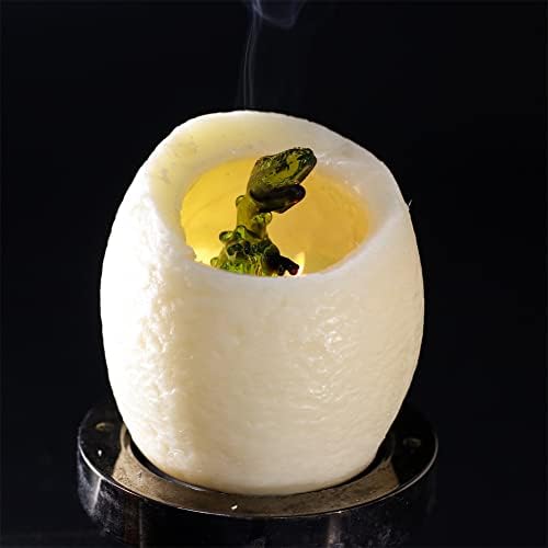 YAZAN-MOLANDI T-Rex Hatching Eggs Candle 1