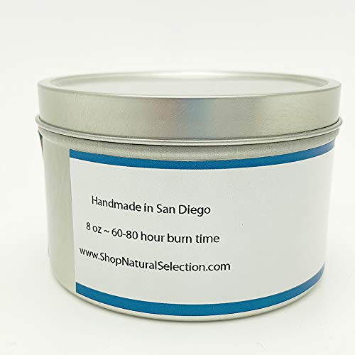 Natural Selection 8 oz Ocean Beach Soy Candle Tin