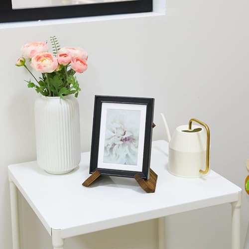 Qianyu 87 Plate Stand Wooden Easel Display Stand