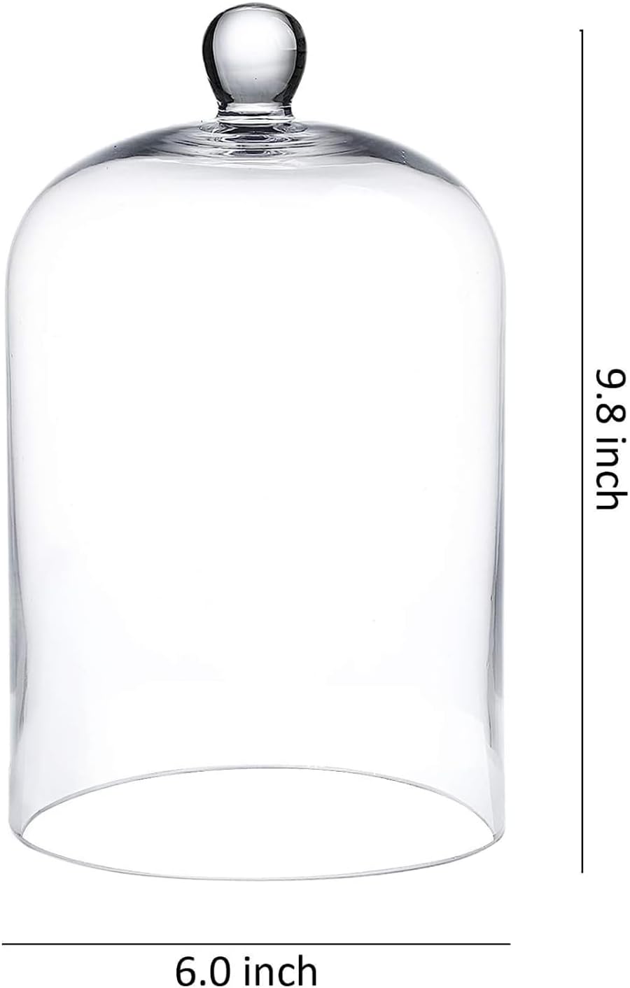 Clear Glass Cloche Dome with Base 6x10