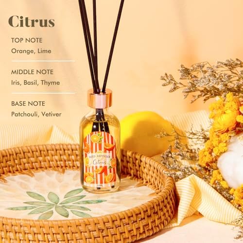 Linen Vanilla Citrus Reed Diffuser Set of 3