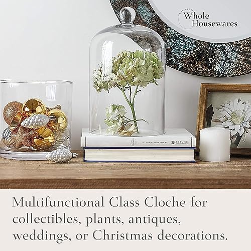 Clear Glass Cloche Dome with Base 6x10