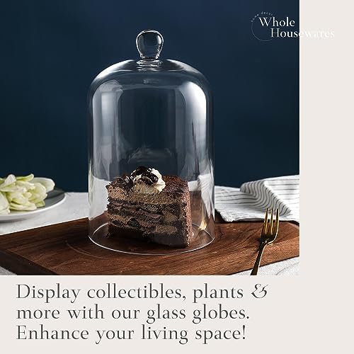 Clear Glass Cloche Dome with Base 6x10
