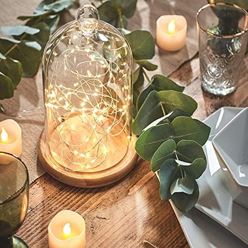 Lyellfe 2 Pack Glass Dome Cloche with Wooden Base 1