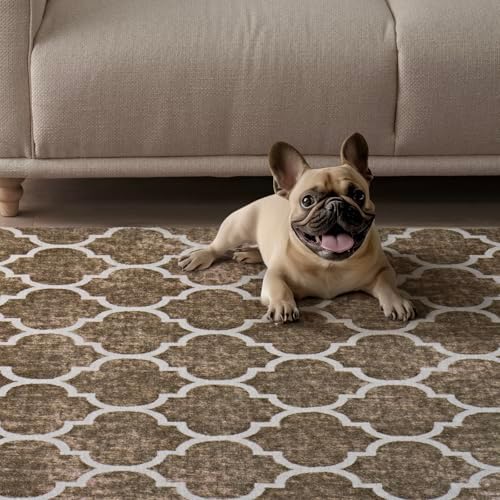 EVERGRACE Boho Trellis Faux Wool Runner Rug 2x6 Mocha Brown