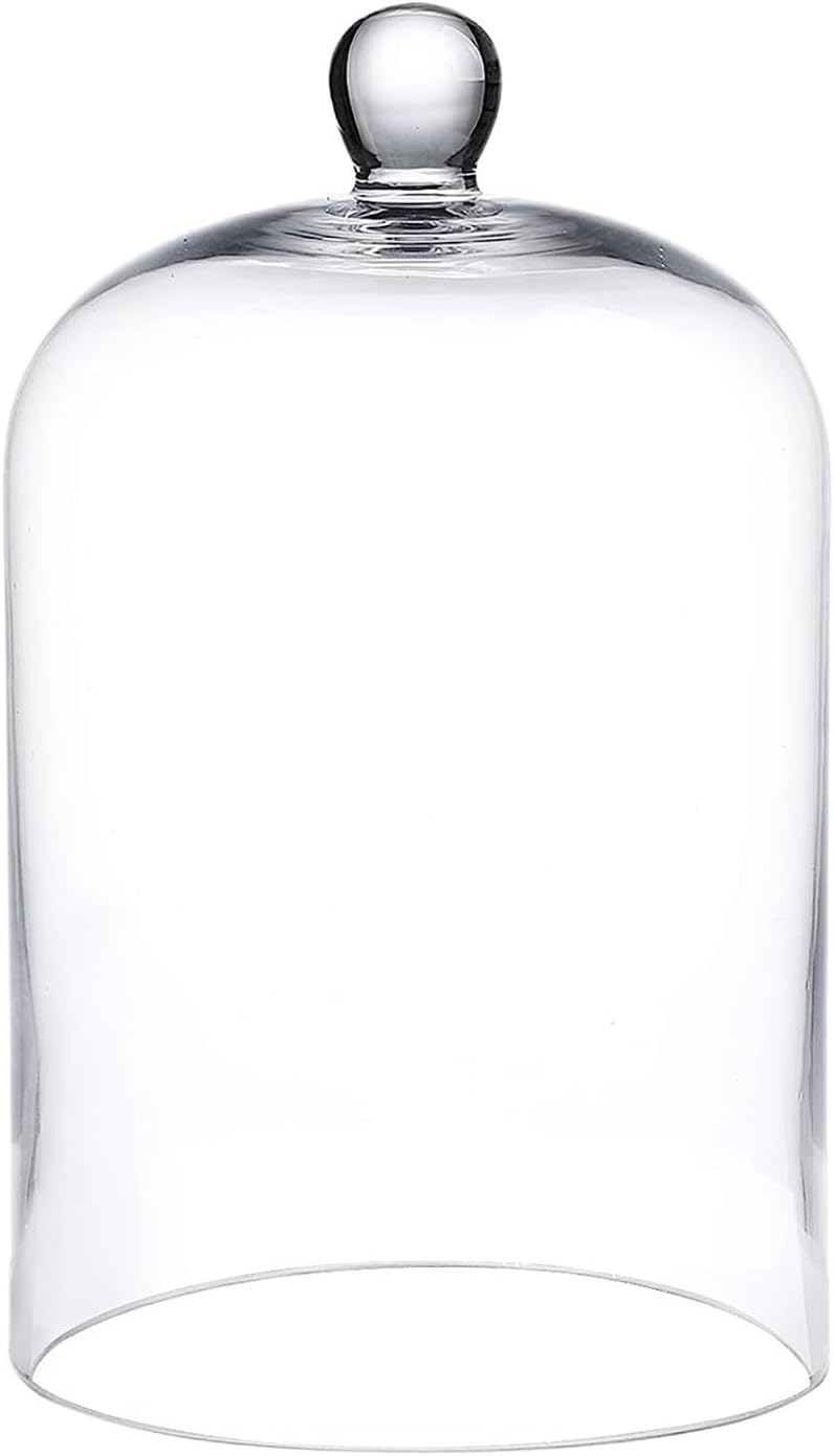 Clear Glass Cloche Dome with Base 6x10