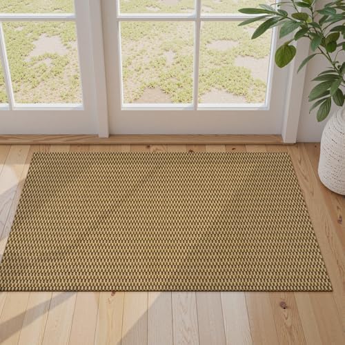 Collive 2x3 Washable Entryway Rug