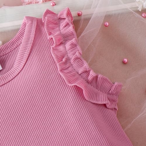 Toddler 2 Piece Summer Outfit Set for Girls