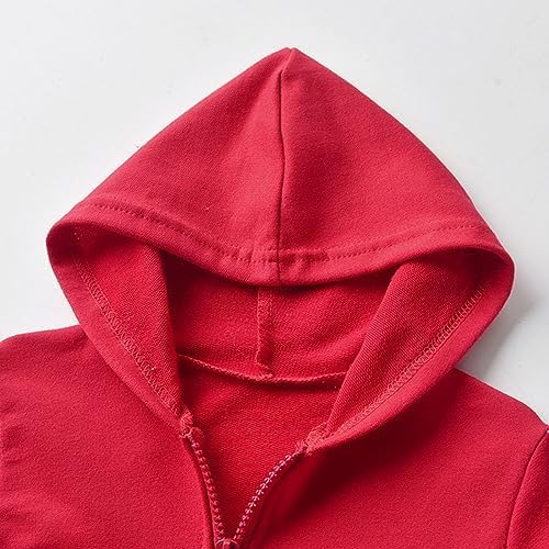 Toddler 2 Piece Outfit Set - Zip Hoodie Sweatpants