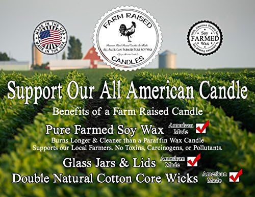 Farm Raised Candles - 5 Fall Spice Scents Soy Wax Cubes