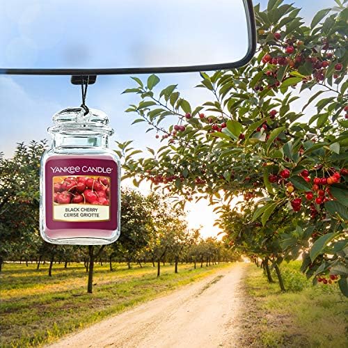 Yankee Candle Car Freshener Black Cherry