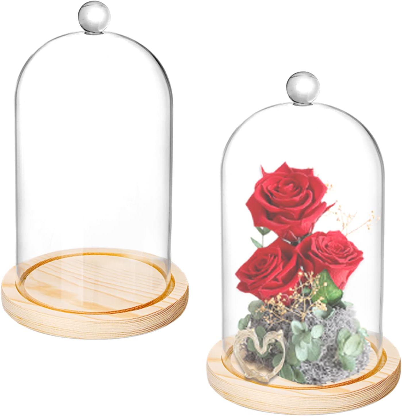 Lyellfe 2 Pack Glass Dome Cloche with Wooden Base 1