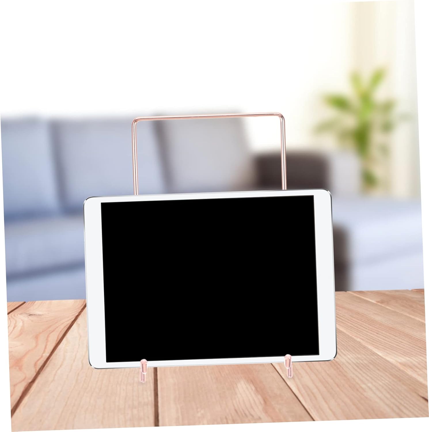 DECHOUS Stainless Steel Plate Holder Display Stand 1