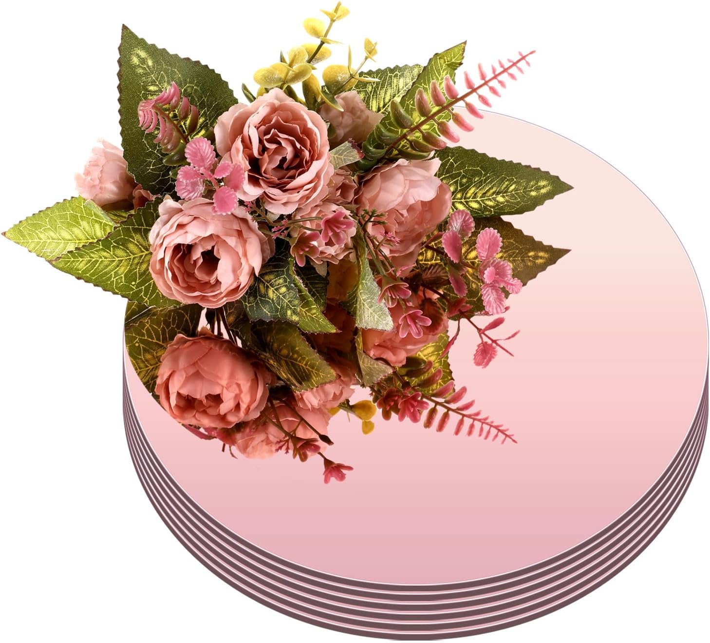 Thyle 10 Inch Rose Gold Acrylic Mirror Set 6 Pcs