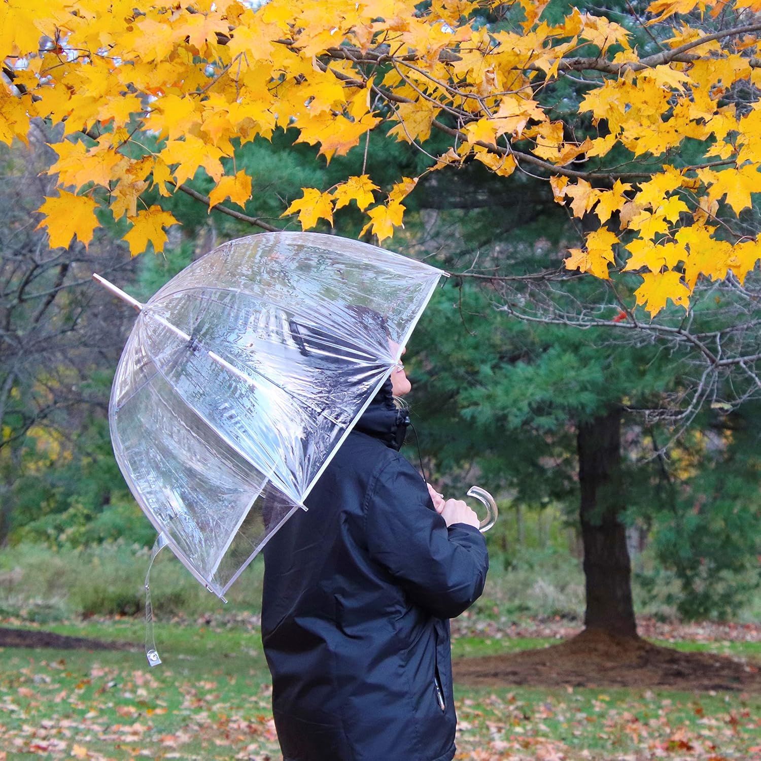 Totes Adult Clear Bubble Umbrella with Dome Canopy