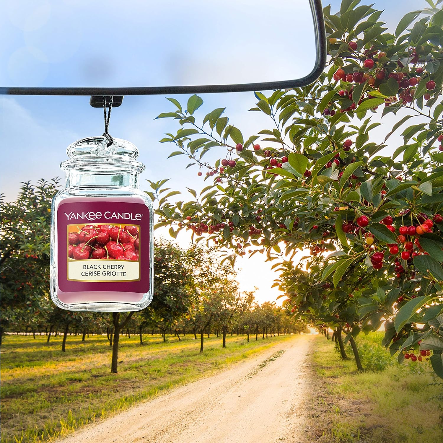 Yankee Candle Car Freshener Black Cherry